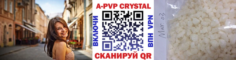 Alfa_PVP СК Ярославль