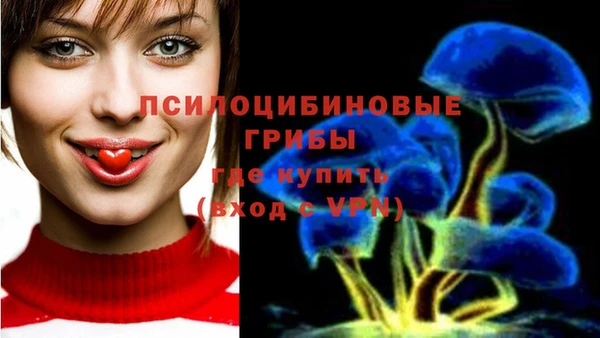 герыч Новодвинск