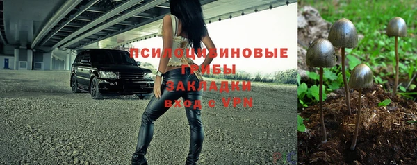 герыч Новодвинск
