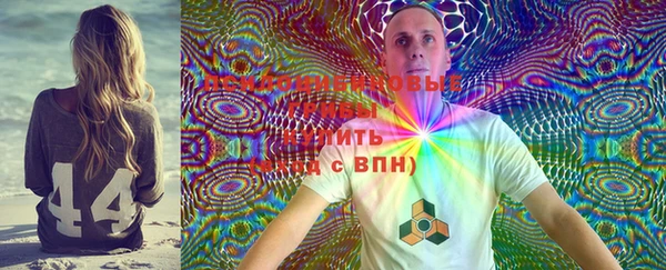герыч Новодвинск